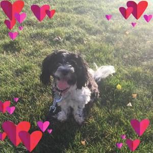 Meet your Posher, Mel